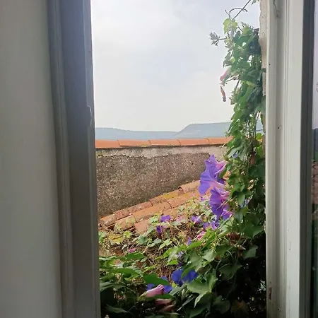 Le Coeur Du Sud Διαμέρισμα