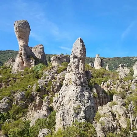 Le Coeur Du Sud *